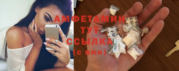 гидра Абаза