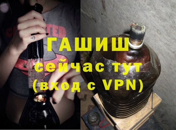 гидра Абаза