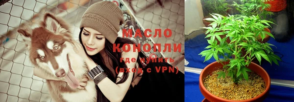 гидра Абаза