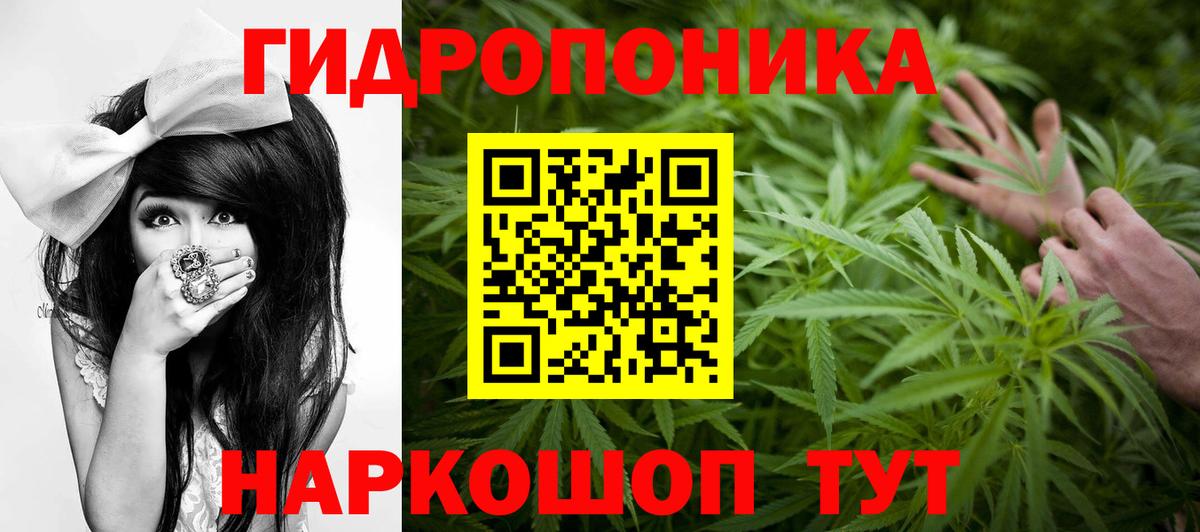 Бошки Шишки семена Холмск